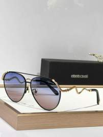 Picture of Roberto Cavalli Sunglasses _SKUfw67544985fw